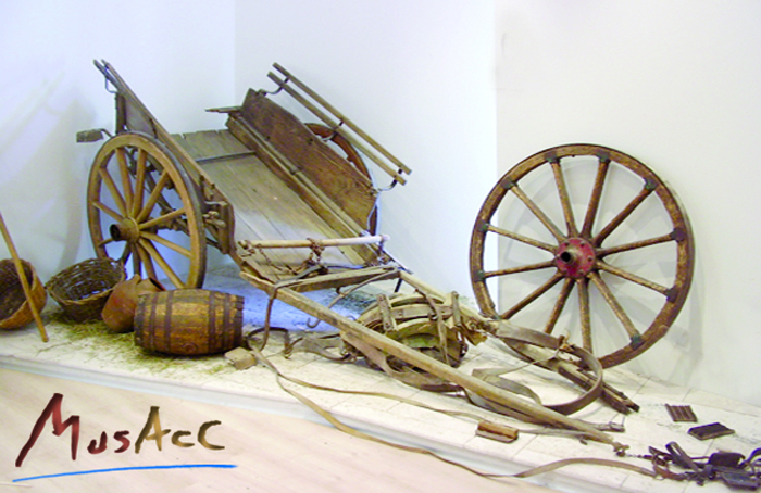 Museo Ateleta